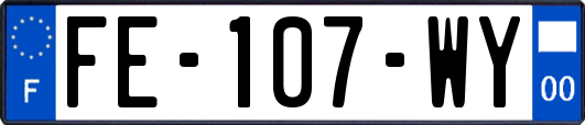 FE-107-WY