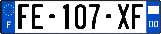 FE-107-XF