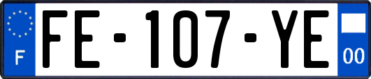 FE-107-YE