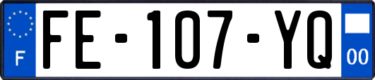 FE-107-YQ
