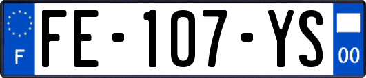 FE-107-YS