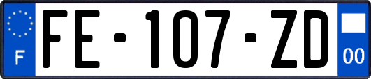 FE-107-ZD