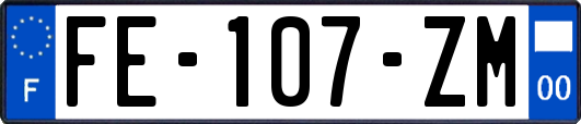 FE-107-ZM