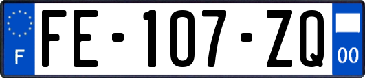 FE-107-ZQ