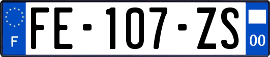 FE-107-ZS