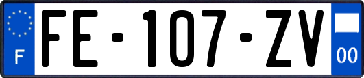 FE-107-ZV