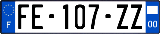 FE-107-ZZ