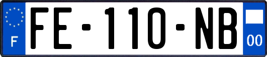 FE-110-NB