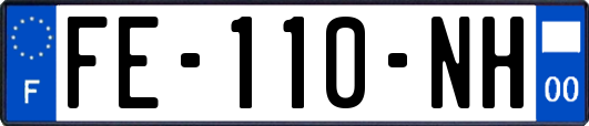 FE-110-NH