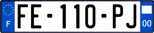 FE-110-PJ