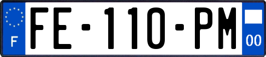 FE-110-PM