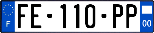 FE-110-PP