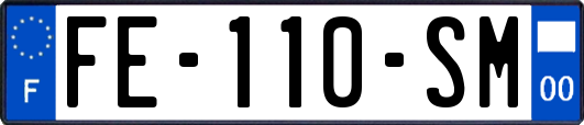 FE-110-SM