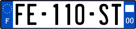 FE-110-ST