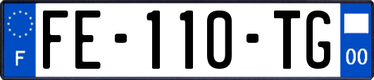 FE-110-TG
