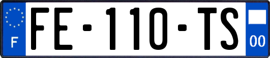 FE-110-TS