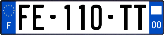 FE-110-TT