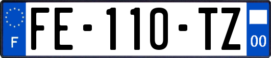 FE-110-TZ
