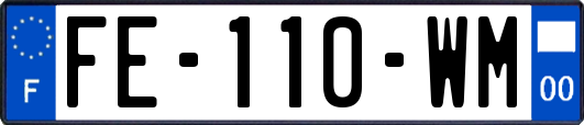 FE-110-WM