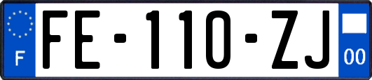 FE-110-ZJ