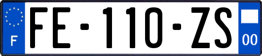 FE-110-ZS