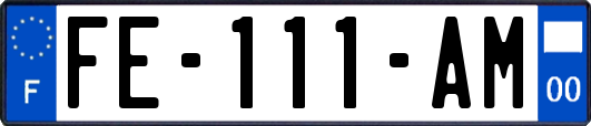 FE-111-AM