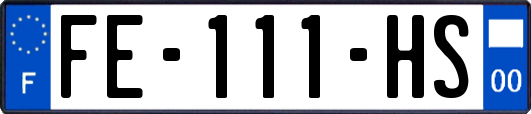 FE-111-HS