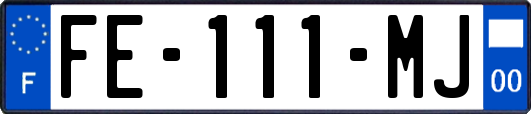 FE-111-MJ
