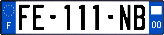 FE-111-NB