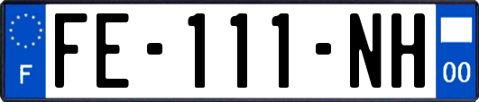 FE-111-NH
