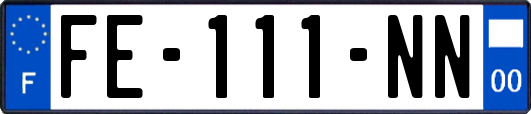 FE-111-NN