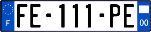 FE-111-PE