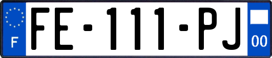 FE-111-PJ