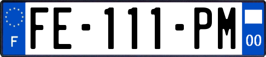 FE-111-PM