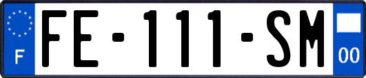 FE-111-SM