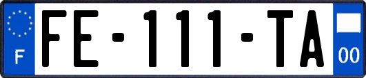 FE-111-TA