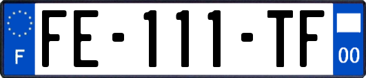 FE-111-TF