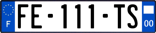 FE-111-TS