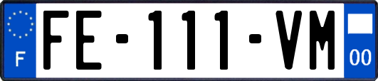 FE-111-VM