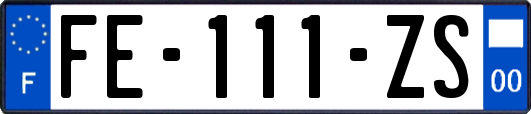 FE-111-ZS