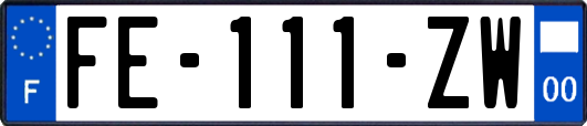 FE-111-ZW