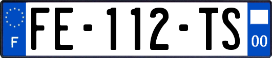 FE-112-TS