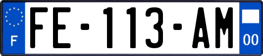 FE-113-AM