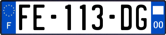 FE-113-DG