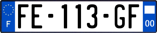 FE-113-GF