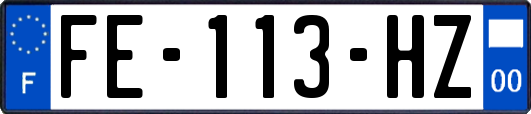 FE-113-HZ