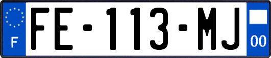 FE-113-MJ