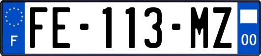 FE-113-MZ