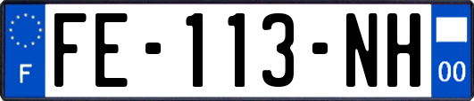 FE-113-NH