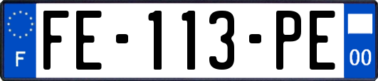 FE-113-PE